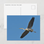 Grijze vogel tijdens de vlucht briefkaart (Voorkant / Achterkant)