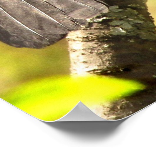 Grijze vogels zingen hun zong Poster (Hoek)