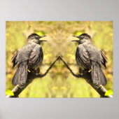 Grijze vogels zingen hun zong Poster (Voorkant)