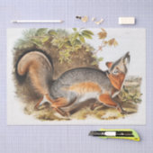 Grijze vos (Canis virginianus) Tissuepapier (Craft)