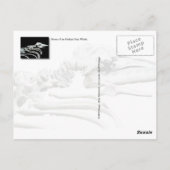 Grijze walvis Fossil Briefkaart (Achterkant)