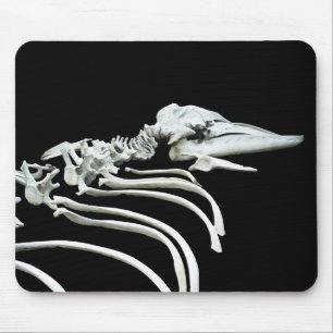 Grijze walvis Fossil Muismat