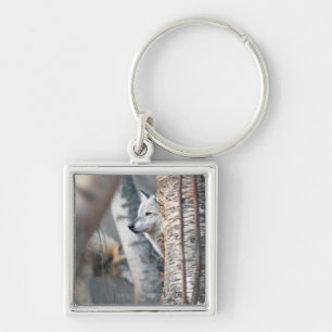 Grijze wolf achter de boom sleutelhanger