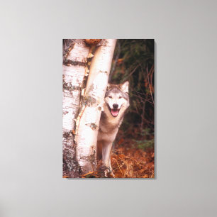 Grijze Wolf Achter een Boom Canvas Afdruk