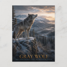 Grijze Wolf Berg Wilderness DIEREN Briefkaart