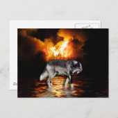 Grijze Wolf Briefkaarten (Voorkant / Achterkant)