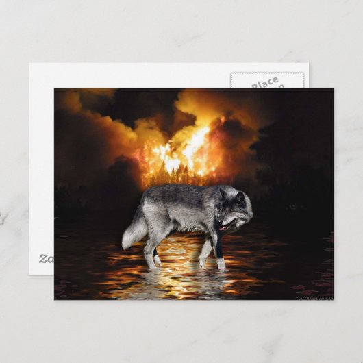 Grijze Wolf Briefkaarten (Voorkant / Achterkant)