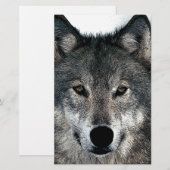 Grijze Wolf Briefpapier (Voorkant / Achterkant)