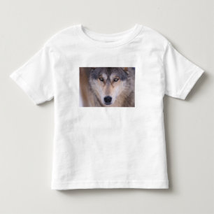 grijze wolf, Canis lupus, close-up van ogen Kinder Shirts