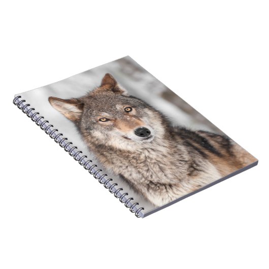 Grijze Wolf (Canis lupus) met één achterzijde Notitieboek (Rechterzijde)