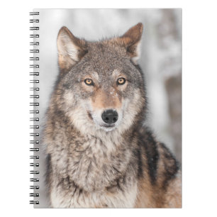 Grijze Wolf (Canis lupus) met één achterzijde Notitieboek
