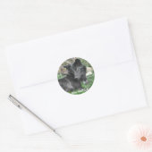 GRIJZE WOLF CUB Wildlife Supporter Stickers (Envelop)
