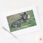 GRIJZE WOLF CUB Wildlife Supporter Stickers (Envelop)