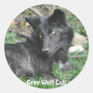 GRIJZE WOLF CUB Wildlife Supporter Stickers