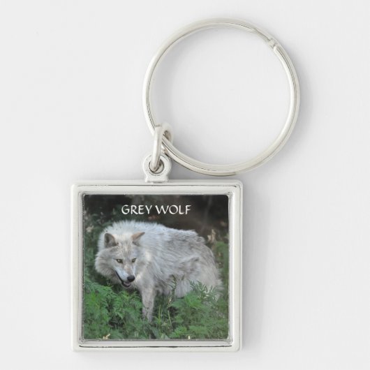 GRIJZE WOLF Design Wildlife Art Sleutelhanger (Voorkant)