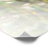 Grijze wolf, dier poster (Hoek)