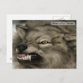 Grijze Wolf Dinner Time Briefkaart (Voorkant / Achterkant)