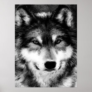 Grijze wolf Eyes Motivatie Poster afdrukken