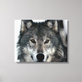 Grijze Wolf Eyes Wrapped Canvas (Voorkant)