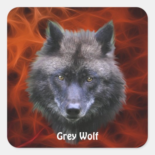 GRIJZE WOLF HOOFD Wildlife Supporter Stickers (Voorkant)