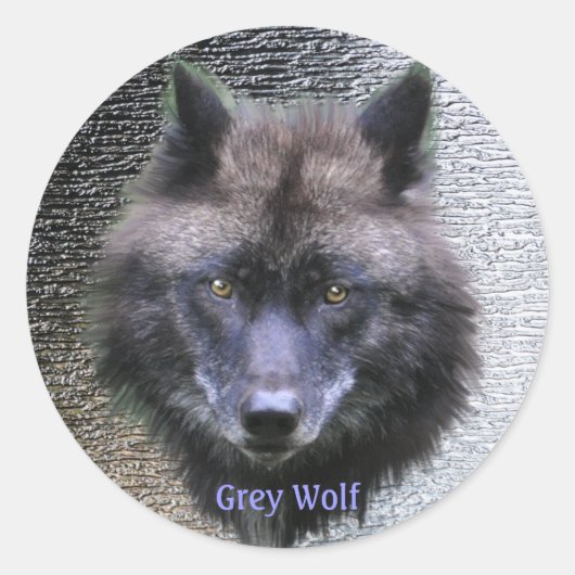 GRIJZE WOLF HOOFD Wildlife Supporter Stickers (Voorkant)