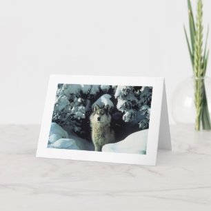 Grijze Wolf in de Kaart van de Foto van de Sneeuw