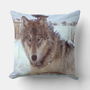 Grijze Wolf in de winter Kussen