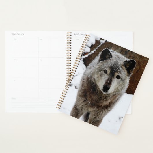 Grijze Wolf in sneeuw Planner (Display)
