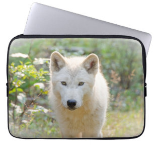 Grijze wolf, kalme hondachtige dierenfotografie laptop sleeve