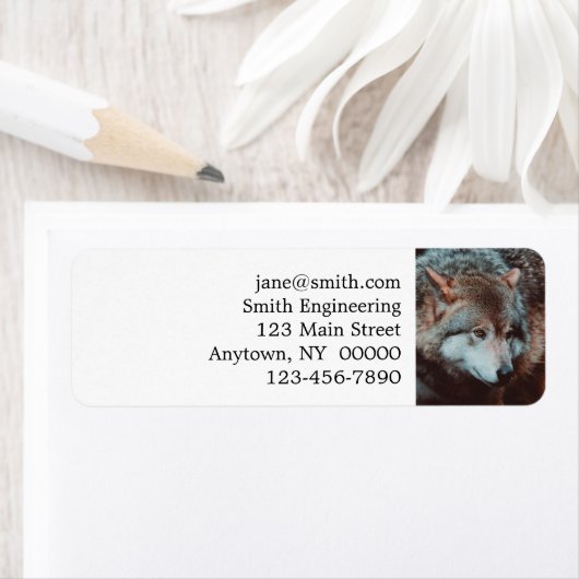 Grijze Wolf kijkt in het bos Etiket (Insitu)