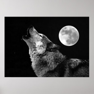 Grijze Wolf & Maan Poster Print