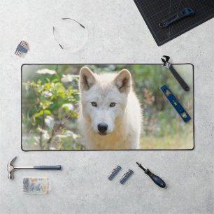 Grijze wolf, mooie hondenfotografie bureaumat