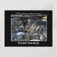 Grijze Wolf Motivatie Briefkaarten