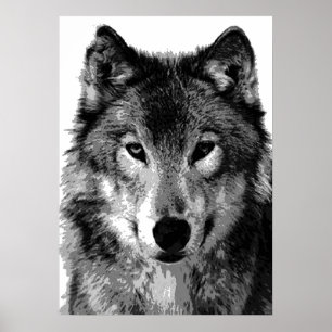 Grijze Wolf Poster Print