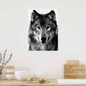 Grijze Wolf Poster Print (Keuken)