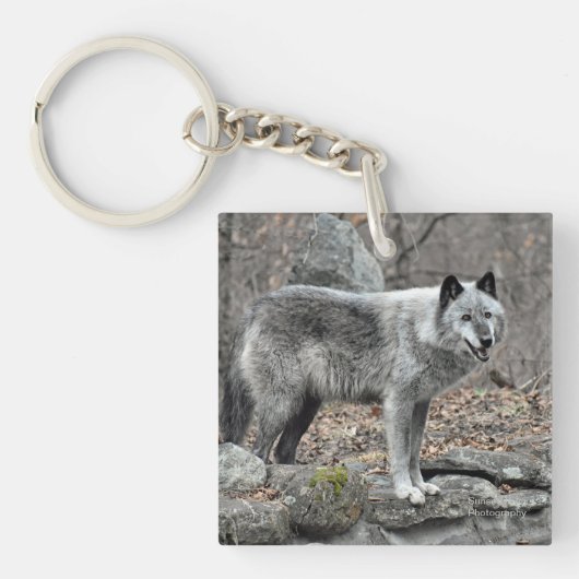 Grijze wolf sleutelhanger (voorkant)