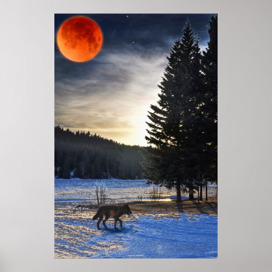 Grijze Wolf, sneeuw, bloedmaan en meer in het wild Poster (Voorkant)