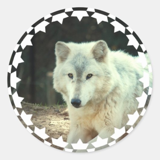 Grijze Wolf Stickers (Voorkant)