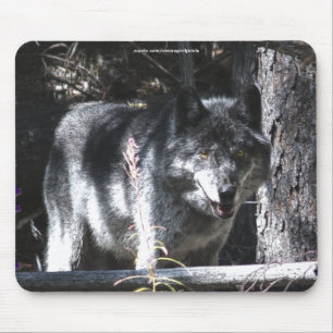 Grijze Wolf Studie Wildlife Supporter Mousepad Muismat