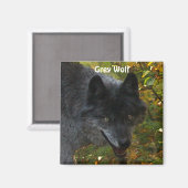 GRIJZE WOLF Wildlife Supporter Foto Magneet (Voorkant / Achterkant)