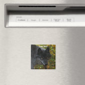 GRIJZE WOLF Wildlife Supporter Foto Magneet (Insitu (Vaatwasser))