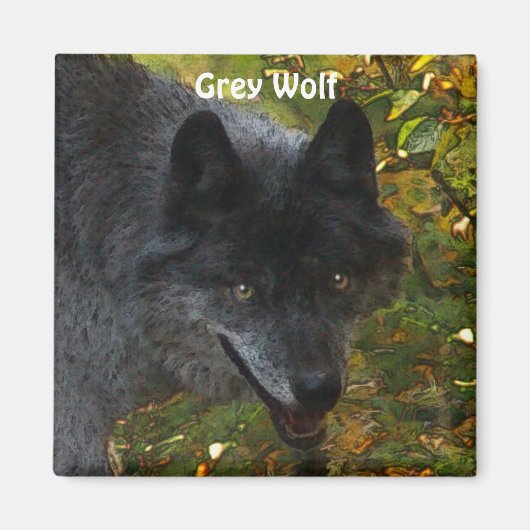 GRIJZE WOLF Wildlife Supporter Foto Magneet (Voorkant)
