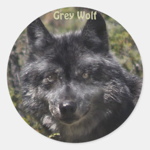 GRIJZE WOLF Wildlife Supporter Stickers