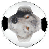 Grijze wolfszijde voetbal (Gedraaid)