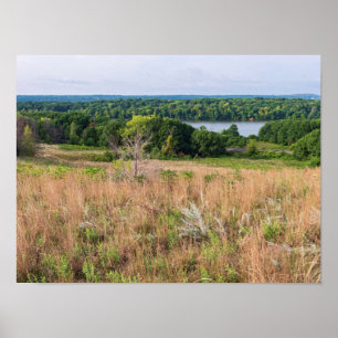grijze wolkenduinen en moerasschalen poster
