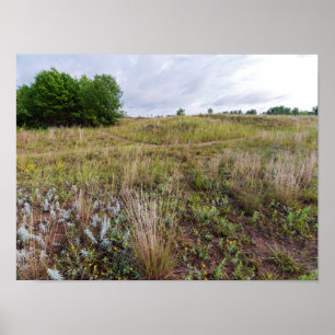 grijze wolkenduinen prairie landschap poster