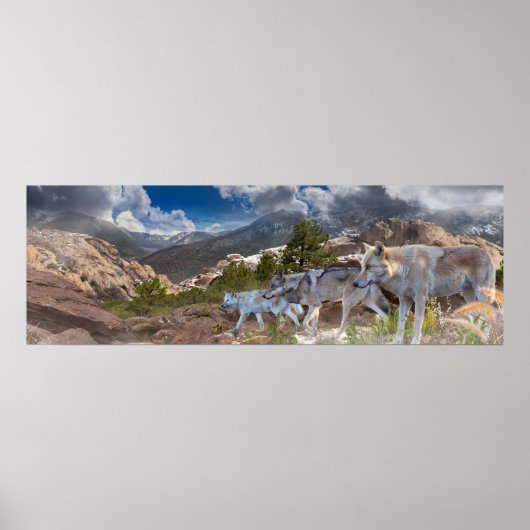 Grijze Wolven Familie Reis Poster (Voorkant)