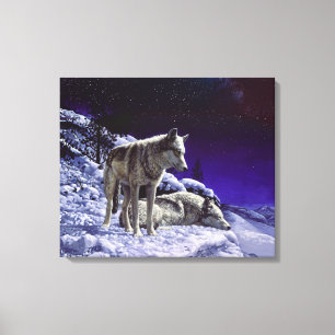 Grijze wolven in wintersneeuw 's nachts canvas afdruk