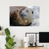 Grijze zegel op ijs poster (Thuiskantoor)