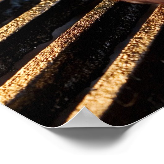 Grilled Steak Poster (Hoek)